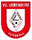 VFL Liebenburg