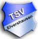 TSV Elvershausen