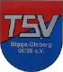 Bigge-Olsberg TSV