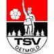 TSV Detmold