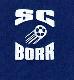 SC Borr 1985 e.V.