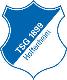 TSG Hoffenheim