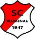 SC Blumenau