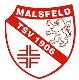 TSV Malsfeld