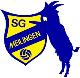 SG Nieder-/Obermeilingen