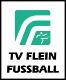 TV Flein