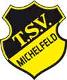 TSV Michelfeld