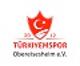 Türkiyemspor Obereisesheim