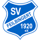 SV 1920 Feilbingert