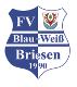 FV Blau-Weiß 90 Briesen/Mark