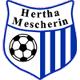 FC Mescherin