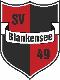 SV Blankensee 49