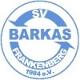 SV Barkas Frankenberg