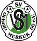 SV Merkur 06 Oelsnitz/V.