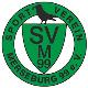 SV Merseburg 99