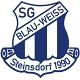 SG Blau-Weiß 1990 Steinsdorf