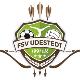 FSV Udestedt