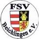 FSV Beichlingen 