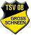 TSV Groß-Schneen