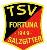 TSV Fortuna Salzgitter