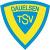 TSV Dauelsen