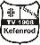 TV Kefenrod