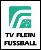 TV Flein