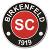 SC 1919 Birkenfeld