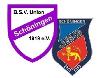 BSV Union Schöningen