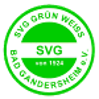 SVG GW Bad Gandersheim