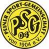 Peiner SG