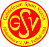 GSV Hildesheim