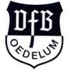 VFB Oedelum