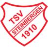 TSV Steinbergen