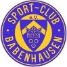 SC Babenhausen