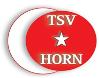 Türkischer SV Horn