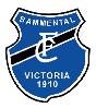 FC Victoria Bammental