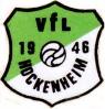 VfL Hockenheim