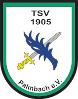 TSV Palmbach