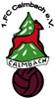 1.FC Calmbach