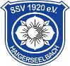 SSV Haigerseelbach