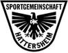 SG DJK Hattersheim