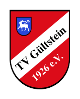 TV Gültstein