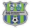 FC 1920 Berglangenbach