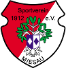 SV 1912 Miesau