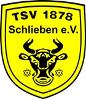 TSV 1878 Schlieben