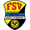 FSV Brieske Senftenberg