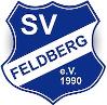 Feldberger SV 1990