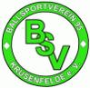 BSV 95 Krusenfelde