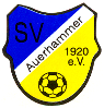 SV Auerhammer